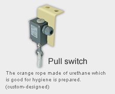 Pull switch